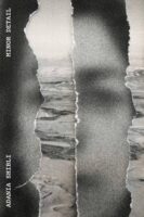 Minor Detail by Adania Shabli