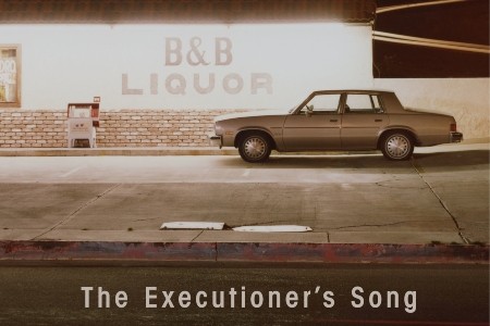 the executioner's song by norman mailer