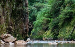 All Gold Canyon by Jack London
