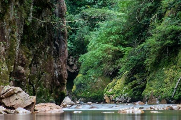 All Gold Canyon by Jack London