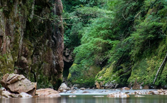 All Gold Canyon by Jack London