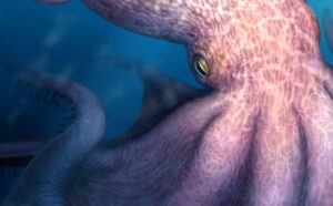 A Struggle With A Devil Fish by Victor Hugo