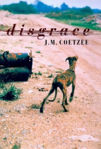disgrace by j.m. coetzee, best african writers
