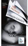 the promise damon Galgut books by african authors