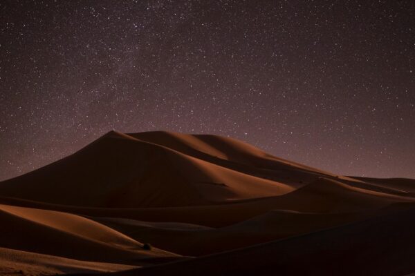 A Passion in the Desert by Honoré De Balzac