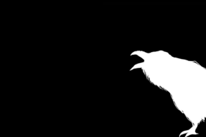 The raven by Edgar Allan poe