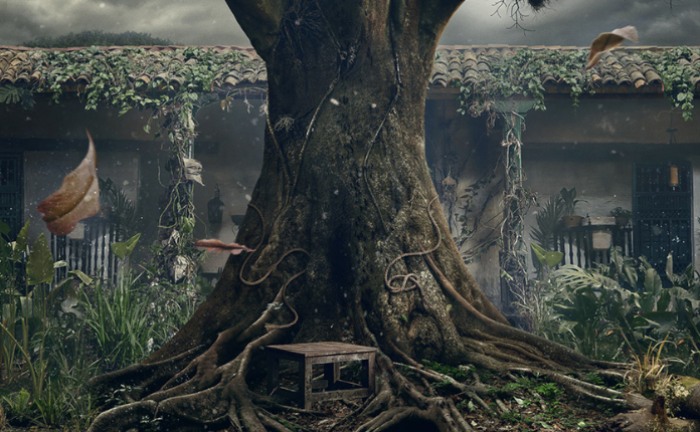 Translated Fiction Quiz